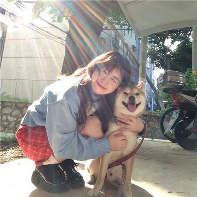 燃爱之高岭之花